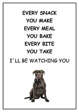 Cane corso watching for sale  DUNSTABLE
