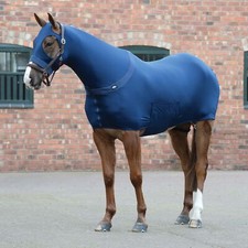 Weatherbeeta stretch rug d'occasion  Expédié en France