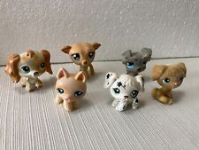Littles pet shop d'occasion  Expédié en Belgium