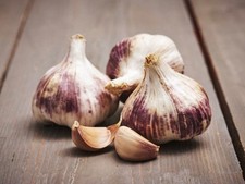 Germidour garlic bulbs for sale  NEWRY