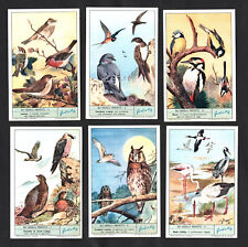 Protected birds liebig for sale  BRIDPORT
