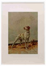 Graf maud 1864 gebraucht kaufen  Versand nach Germany