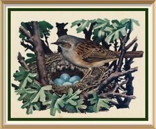 Old vintage tunnicliffe for sale  CANNOCK