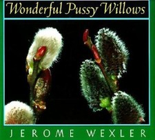 Wonderful pussy willows for sale  Saint Louis