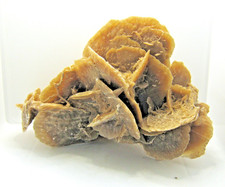 Grande rosa del usato Grande rosa del usato  Mondovi