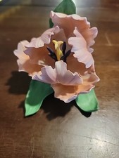 Lenox parrot tulip for sale  Quogue