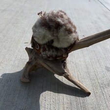 Faux taxidermy baby for sale  Salinas