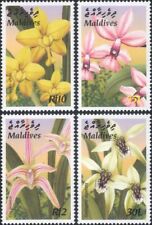 Maldives 2003 flowers for sale Maldives 2003 flowers for sale  BIRMINGHAM