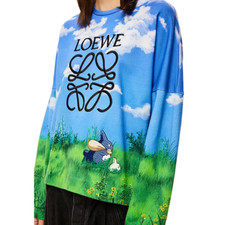 Suéter Loewe X Totoro tamanho M muito raro comprar usado  Enviando para Brazil