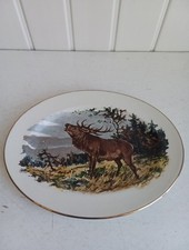 Liverpool road pottery for sale  SOUTHPORT
