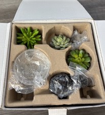 Scentsy little garden for sale  Albertville