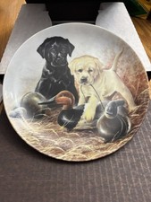 Field puppies plate for sale  Staten Island