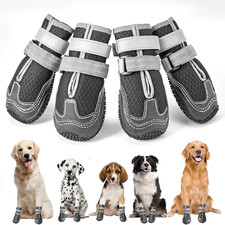 scarpette cane usato scarpette cane usato Roma