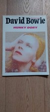 David bowie hunky usato  Carpi