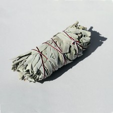 White sage californian for sale  PLYMOUTH