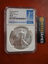 2025 silver eagle for sale  Hudson