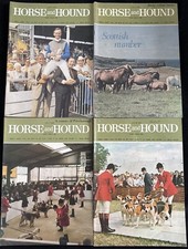 Issues horse hound for sale  CHIPPENHAM