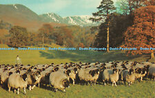 R518506 gathering herdwick for sale  WARLINGHAM