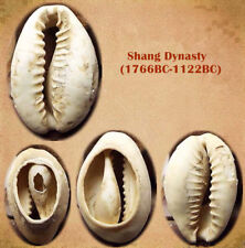 A Cowry Shell (Dinastía Shell)-Shang (1766BC-1122BC) ¡A LA VENTA! segunda mano  Embacar hacia Mexico