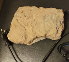 Wärmestein reptilien dohse gebraucht kaufen  Taunusstein