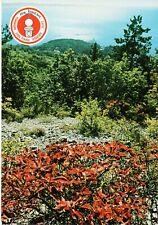 Plt lista per usato  Trieste