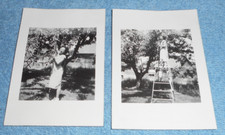 Vintage pretty cute for sale  Worton