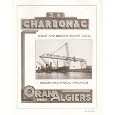 Charbonac welsh durham for sale Charbonac welsh durham for sale  GLASGOW