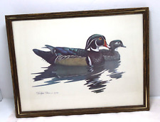 Wood duck print for sale  Scales Mound