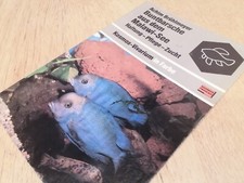 Buntbarsche dem malawi gebraucht kaufen  Marburg