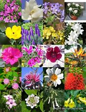 Flowering garden plants for sale  Miami