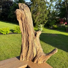 Hardwood driftwood 16x7x14 for sale  Marlboro