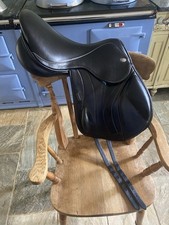 Fairfax andrew hoy for sale  SALISBURY