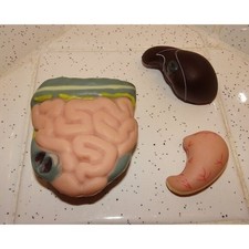 Vintage plastic human for sale  Tampa
