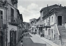 passeri usato  Camaiore