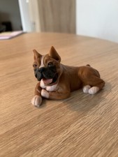 Hund deutscher boxer gebraucht kaufen  Frankenthal