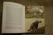 Fachbuch graupapagei papagei gebraucht kaufen  Deutschland
