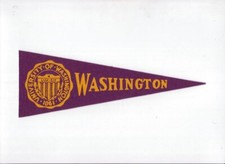 Vintage college pennant for sale  Ruffs Dale