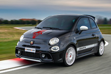 Adesivo cofano abarth usato  Saluzzo
