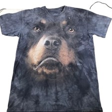 Big rottweiler dog for sale  Delray Beach