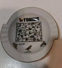 Vintage wyoming souvenir for sale  Marinette