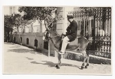 Joyeux touriste âne d'occasion  Paris XIX