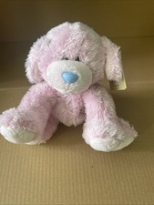 tatty puppy for sale tatty puppy for sale BROADSTAIRS