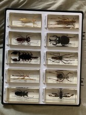 12x encased large for sale  BRAMPTON