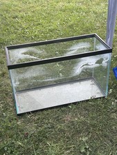 Gallon aquarium fish for sale  Belding