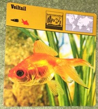 Vintage 1976 animal for sale  Shipping to United Kingdom