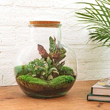 Flaschengarten teddy diy gebraucht kaufen  Mettingen