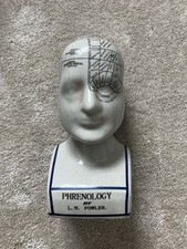 Phrenology head l.n for sale  BICESTER