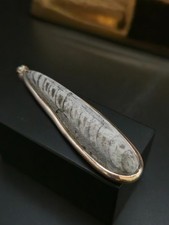 fossil 925 silber gebraucht kaufen fossil 925 silber gebraucht kaufen Wiesbaden