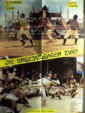 Unbesiegbaren alexander sheng gebraucht kaufen  Ahlen-Vorhelm