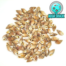 Freeze dried snails for sale  NORTH WALSHAM